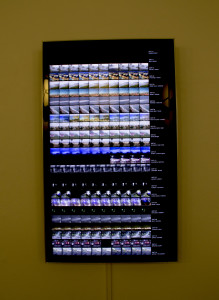 Horizon,2008