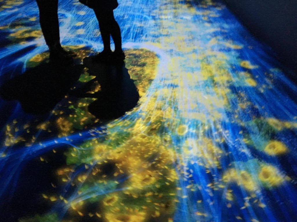 Teamlab - Pace Gallery - Audiovisual artists