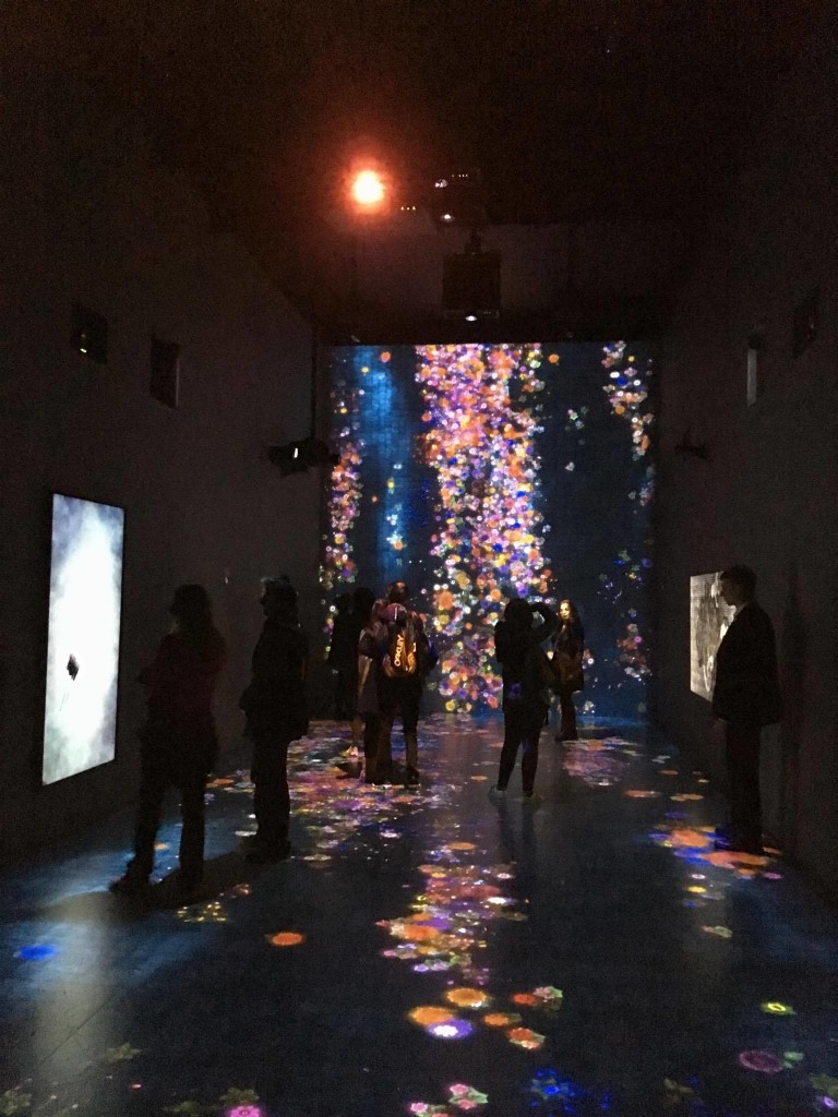 Teamlab - Pace Gallery - Audiovisual artists